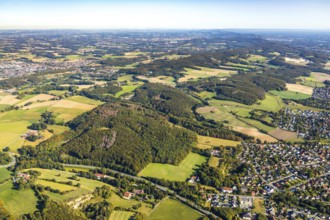 Aerial view, Teutoburg Forest, forest area Knüll Storkenberg, Hermannsweg, Ascheloh, Halle, East