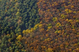 Aerial view, forest area, planned wind turbines, Bergbossendorf, Haltern am See, Ruhr area, North