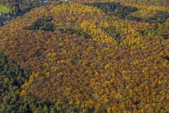 Aerial view, forest area, planned wind turbines, Bergbossendorf, Haltern am See, Ruhr area, North