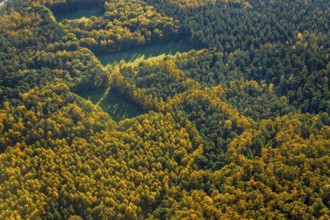 Aerial view, forest area, planned wind turbines, Bergbossendorf, Haltern am See, Ruhr area, North