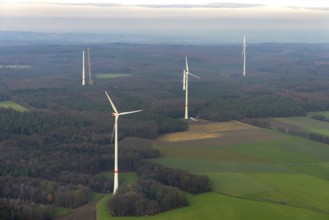 HALTERN AM SEE 16.12.2020 Wind turbines (WEA) in a forest and woodland area in Haltern am See in