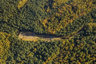 Aerial view, forest area, planned wind turbines, Bergbossendorf, Haltern am See, Ruhr area, North