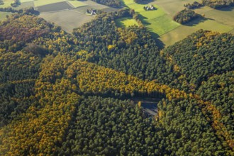 Aerial view, forest area, planned wind turbines, Bergbossendorf, Haltern am See, Ruhr area, North