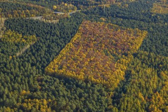 Aerial photo, forest area, planned wind turbines, A43 motorway, Bergbossendorf, Haltern am See,