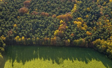 Aerial view, forest area, planned wind turbines, Bergbossendorf, Haltern am See, Ruhr area, North