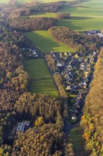 Aerial view of a forest settlement Holtwicker Straße in the district Holtwick in Haltern am See in