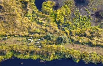 Aerial photo, Großes Torfmoor, Gehlenbeck, Hille, Lübbecke, Ostwestfalen-Lippe, OWL, North