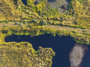 Aerial photo, Großes Torfmoor, Gehlenbeck, Hille, Lübbecke, Ostwestfalen-Lippe, OWL, North