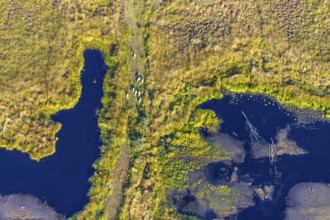 Aerial photo, Großes Torfmoor, Gehlenbeck, Hille, Lübbecke, Ostwestfalen-Lippe, OWL, North