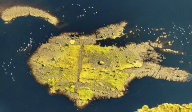 Aerial photo, Großes Torfmoor, Gehlenbeck, water areas with water birds, Hille, Lübbecke,