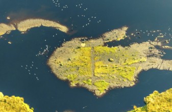 Aerial photo, Großes Torfmoor, Gehlenbeck, water areas with water birds, Hille, Lübbecke,