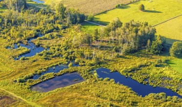 Aerial photo, Großes Torfmoor, Gehlenbeck, Hille, Lübbecke, Ostwestfalen-Lippe, OWL, North