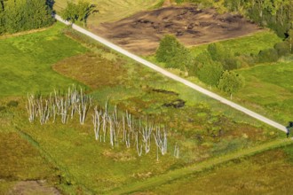 Aerial photograph, Großes Torfmoor, Gehlenbeck, dead wood, Hille, Lübbecke, Ostwestfalen-Lippe,