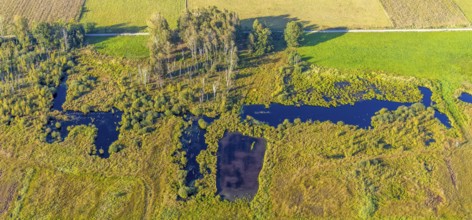Aerial photo, Großes Torfmoor, Gehlenbeck, Hille, Lübbecke, Ostwestfalen-Lippe, OWL, North