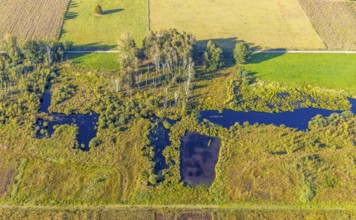 Aerial photo, Großes Torfmoor, Gehlenbeck, Hille, Lübbecke, Ostwestfalen-Lippe, OWL, North