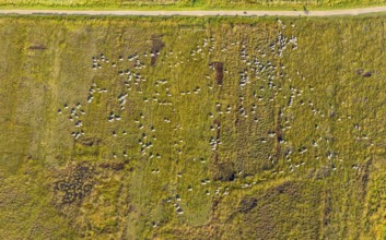 Aerial photo, Großes Torfmoor, Gehlenbeck, Hille, Lübbecke, Ostwestfalen-Lippe, OWL, North