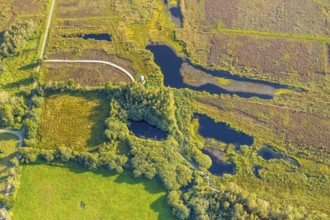 Aerial photo, Großes Torfmoor, Gehlenbeck, Hille, Lübbecke, Ostwestfalen-Lippe, OWL, North