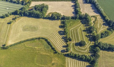 Aerial view, hay harvest, fields south of Pelkum, pattern in nature, Hamm, Ruhr area, North