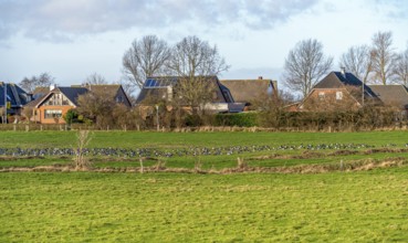 Scenery around Maasholm, a municipality in Schleswig-Holstein, Northern Germany