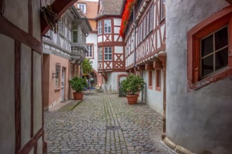 City view of Neustadt an der Weinstraße, a town in the Rhineland-Palatinate in Germany