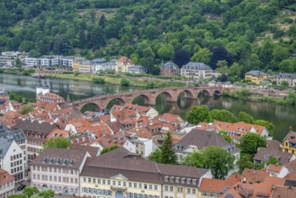 Aerial view of Heidelberg in Germany at summer time