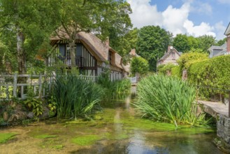 Scenery around river Veules in Veules-les-Roses, a commune in the Seine-Maritime department in the