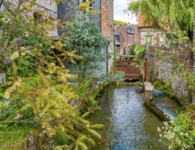 Scenery around river Veules in Veules-les-Roses, a commune in the Seine-Maritime department in the