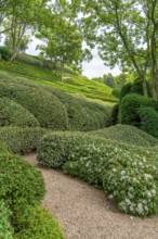 Idyllic garden scenery with green trees, bushes and hedges at summer time seen in Normandy, France