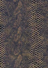 Full frame scaled abstract brown patterned reptile skin surface