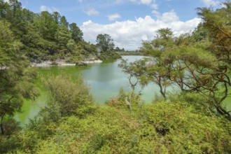 Geothermal area named Waiotapu in New Zealand