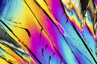 Colorful microscopic shot of Sucrose micro crystals in polarized light