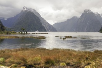 Natural scenery around Milford Sound at the South Island of New Zealand
