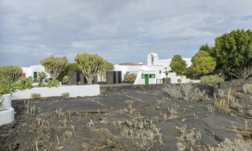 Fundacion Caesar Manrique at Lanzarote, a island of the Canary Islands in the Atlantic Ocean