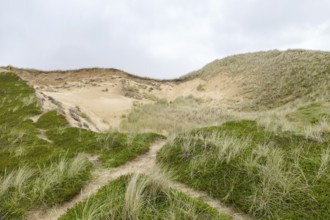 Rotes Kliff at Sylt, part of the North Frisian Islands in Germany