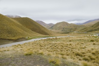 Impression around the Lindis Pass at the South Island of New Zealand
