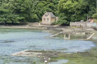 Coastal scenery at the Belon River in Brittany, France