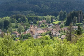Scenery around Saulxures, a commune in the Bas-Rhin department in Grand Est in north-eastern France