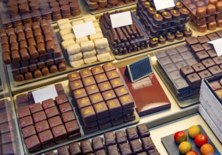 High angle shot showing lots of various artisan chocolate pralines