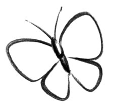 Crayon-sketched illustration of a butterfly