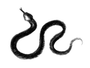 Crayon-sketched illustration of a snake