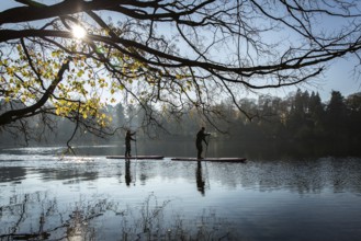 DEU Germany Germany Berlin Standup paddler (SUP) on the Krumme Lanke