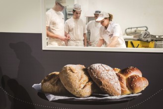 DEU Germany Germany Berlin Show baking by the Berlin Bakers' Guild at the Green Week