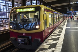 DEU Germany Germany Berlin S-Bahn driver on the phone during the EVG strike at Zoo station on