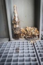 DEU Germany Germany Berlin Improvised ashtrays with cigarette butts on a balcony