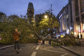 DEU Germany Germany Berlin Fire brigade operation on Kurfürstendamm. Storm Xavier had caused trees