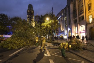 DEU Germany Germany Berlin Fire brigade operation on Kurfürstendamm. Storm Xavier had caused trees