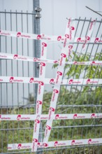 DEU Germany Germany Berlin The fence around an Air Berlin hangar on Saatwinkler Damm has been