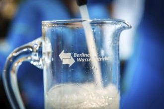 DEU Germany Germany Berlin Scene of the Green Weeks, the annual trade fair on food, agriculture and