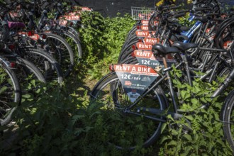 DEU Germany Germany Berlin Rental bikes in the city.bikes from the provider berlinandbike.com are
