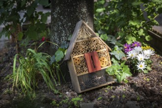 DEU Germany Germany Berlin An insect house on a pavement in Bouchéstrasse in Treptow